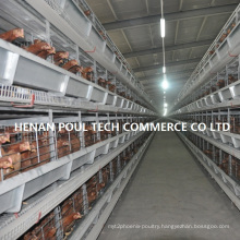 H Frame Battery Cage for Layer Chicken